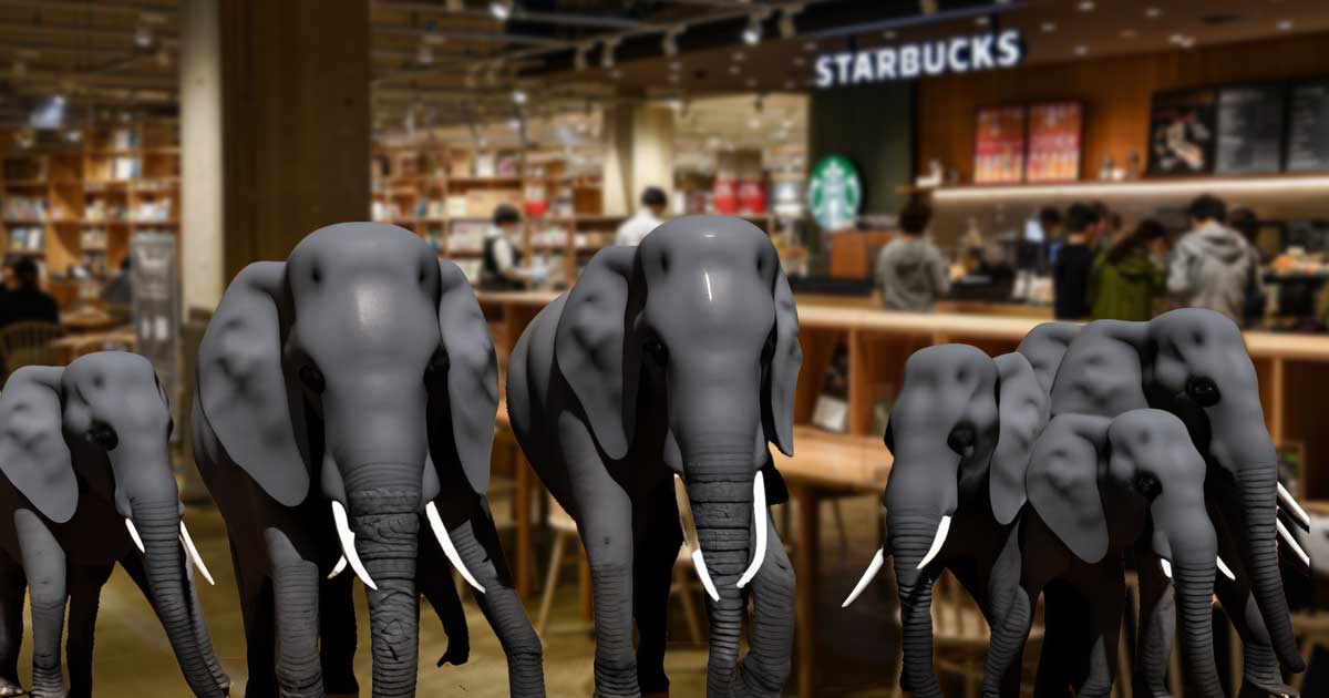 Elephants in a room